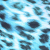 Blue Leopard